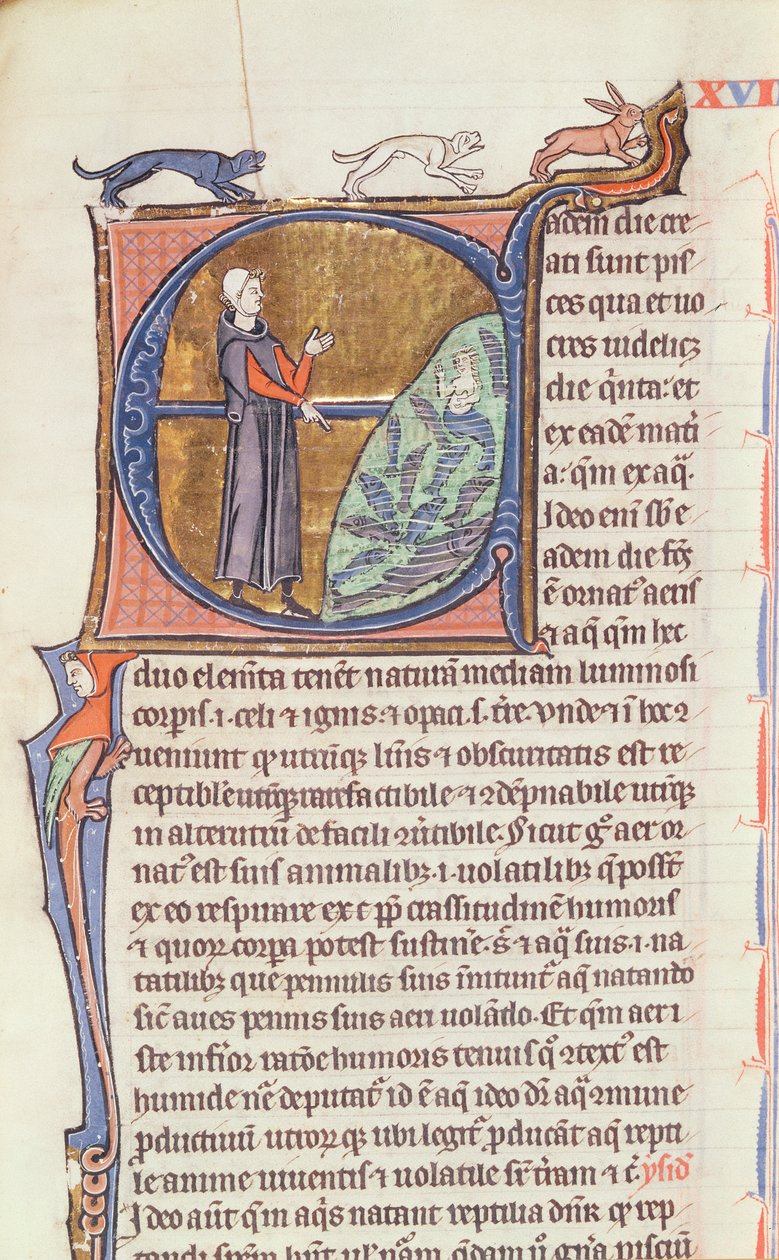 Bayan 426 fol. 213 Bir balık havuzunun yanında bir doktor, Vincent de Beauvais