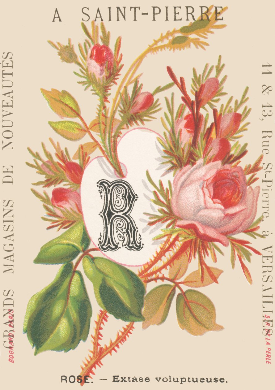 A: Pembe - şehvetli ecstasy by French School