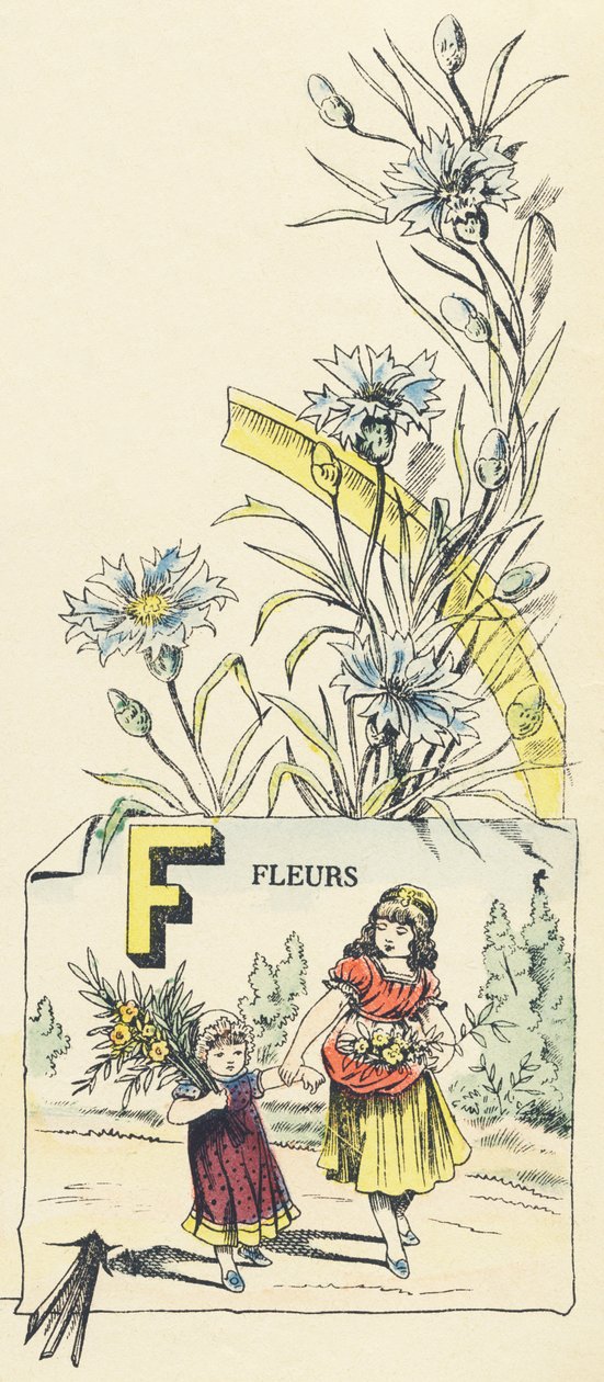 F: çiçekler by French School