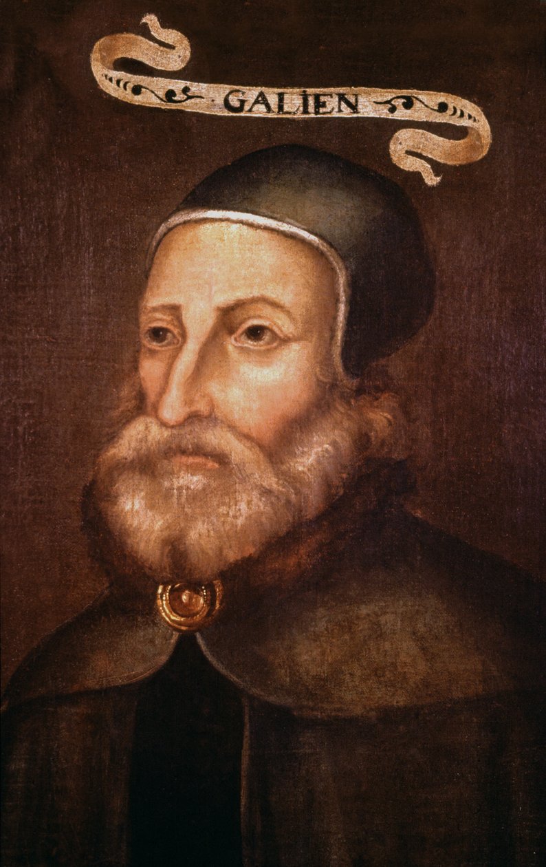 Galen. 17. yüzyıl (resim) by French School