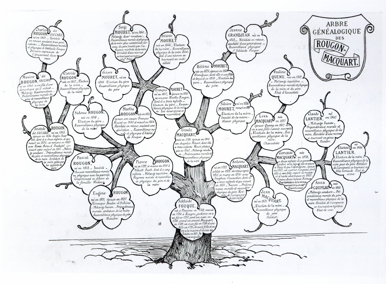 Rougon-Macquart ailesinin soy ağacı by French School