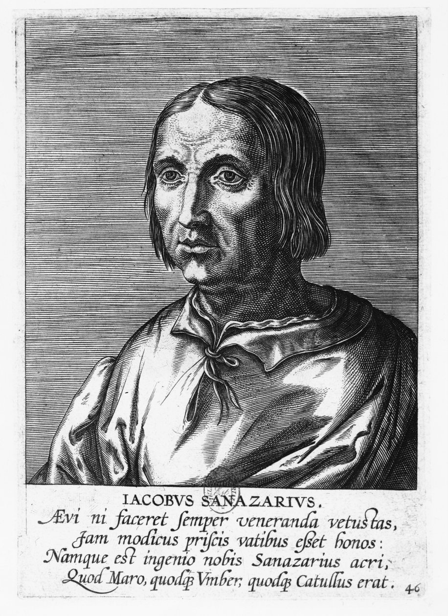 Jacopo Sannazaro (gravür) by French School