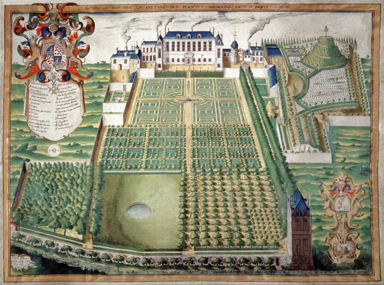 Jardin des Plantes, Paris. 1636 (suluboya) by French School