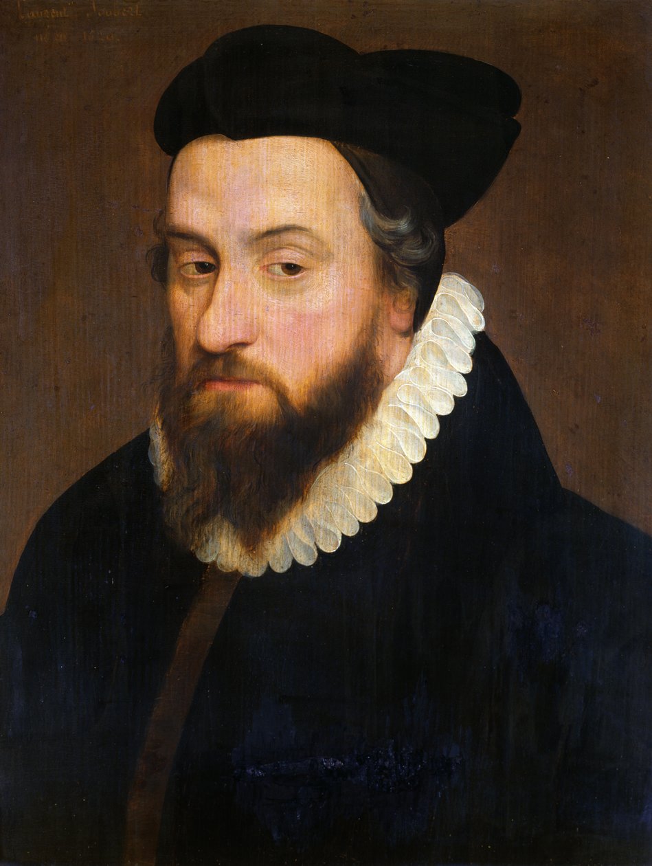 Laurent Joubert (1529-83) by French School