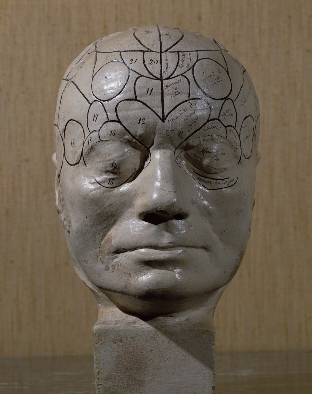 Frenolojik kafa, Jean Martin Charcot (seramik) by French School