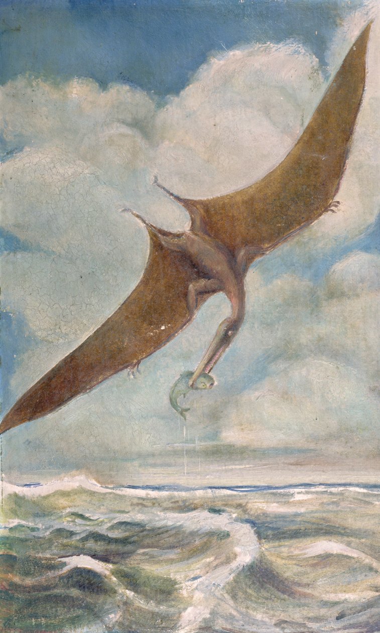 Pterodaktil balıkçılığı by French School