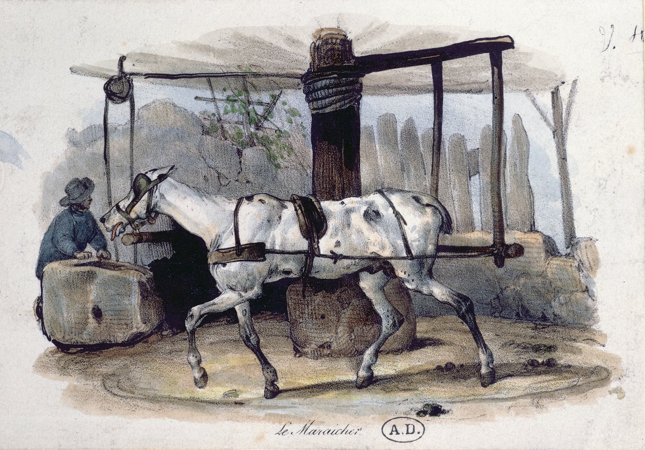 Pazar Bahçıvanı, 1840 by French School