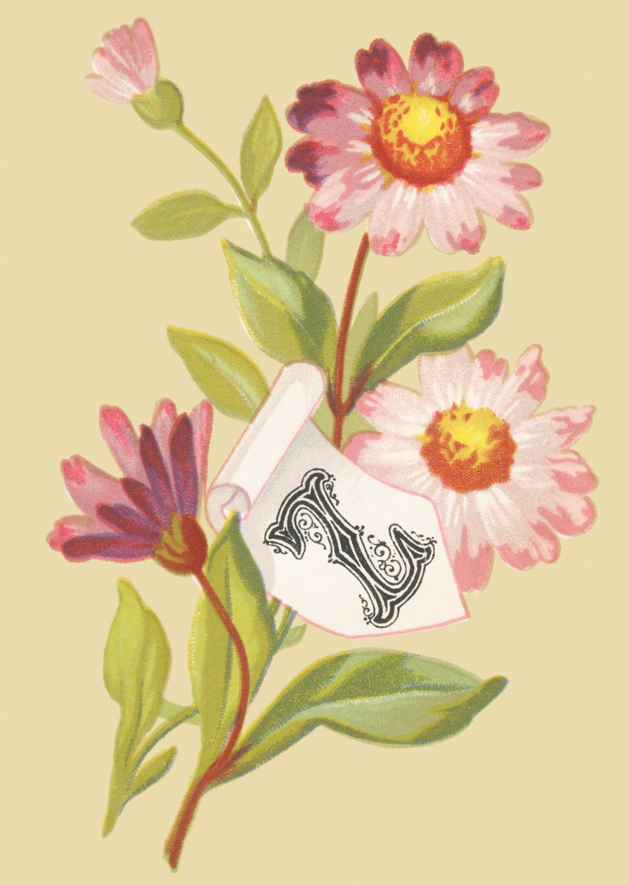 Z: Zinnia - Sahte pullar by French School