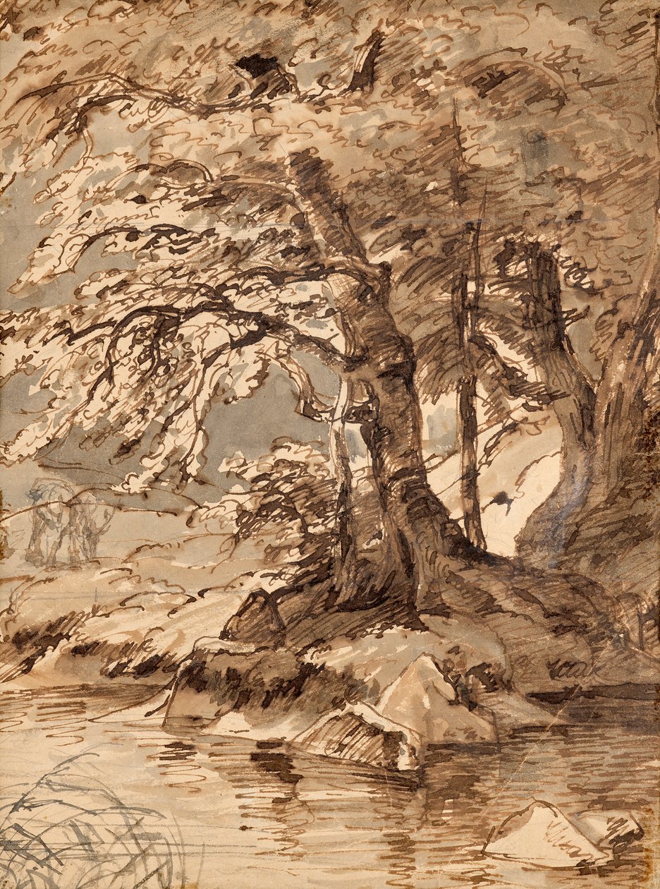 ağaç çalışması by Friedrich August Mathias Gauermann