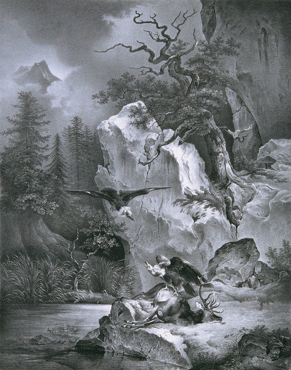 Ölü geyik ile akbaba by Friedrich August Mathias Gauermann