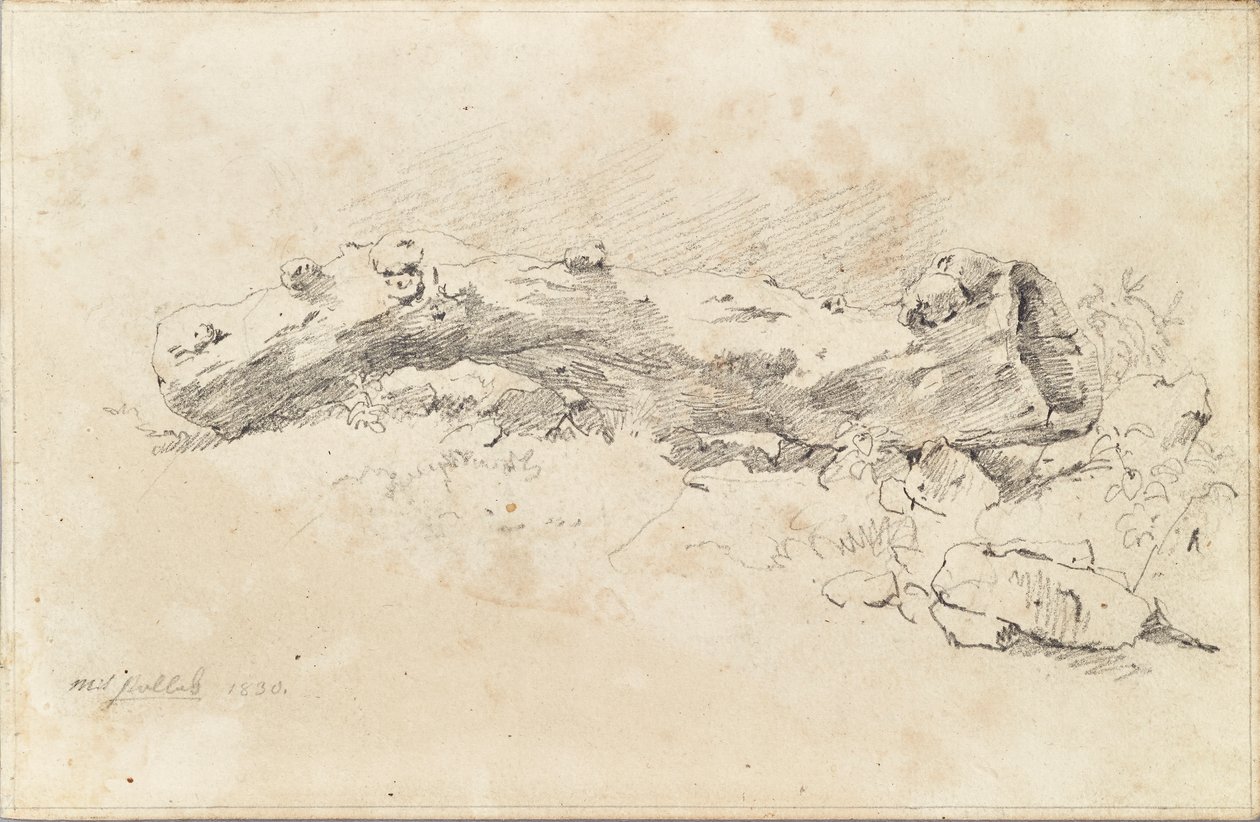 İçi boş ağaç gövdesi yalan by Friedrich August Mathias Gauermann