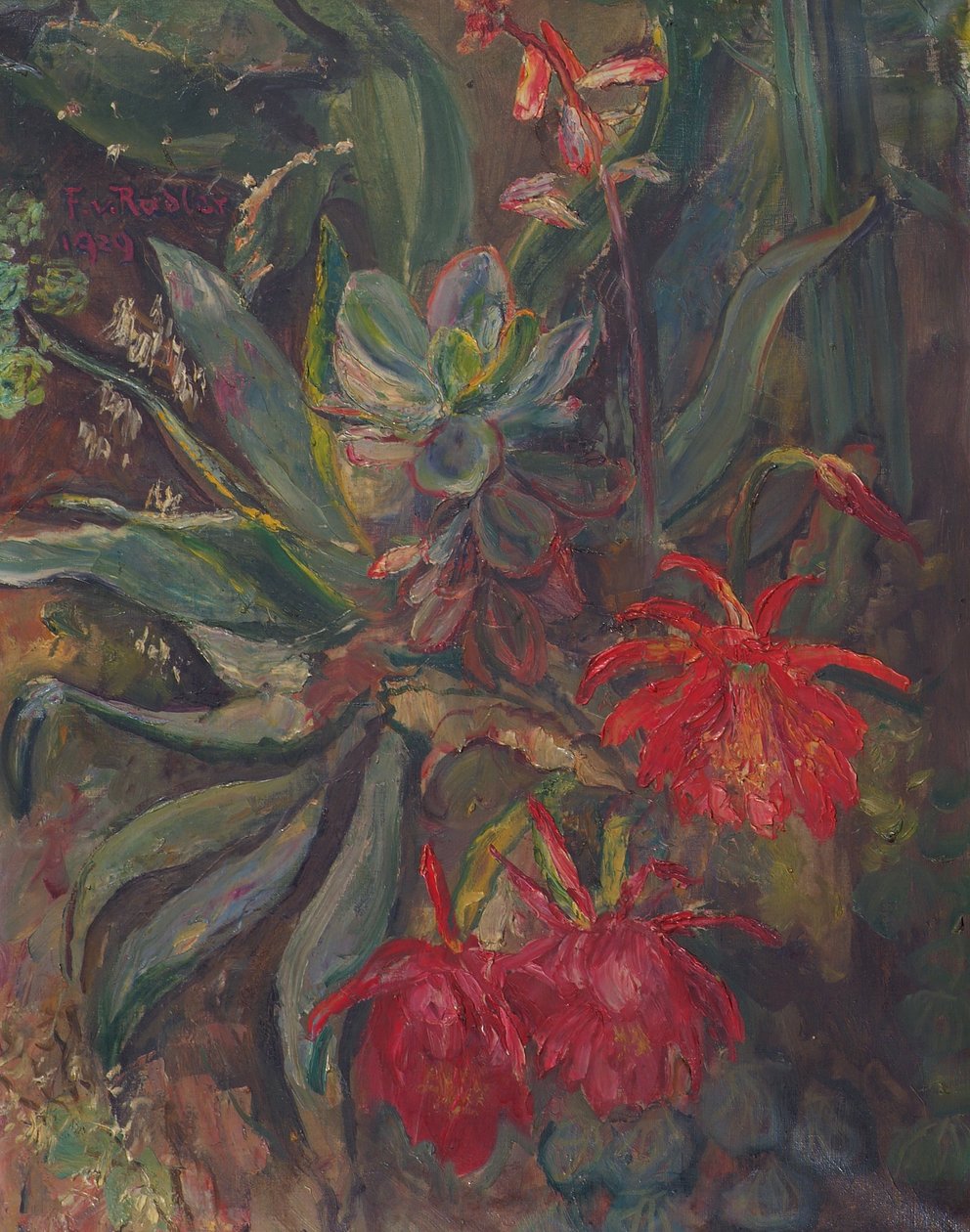 çiçek açan kaktüsler by Friedrich Radler