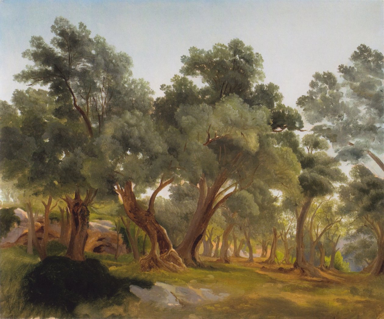 Zeytinlik by Fritz Petzholdt