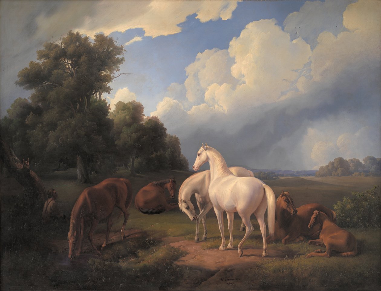 Lucia, Whimsey, Bellona, ​​​​Hertha, Olga by Fritz Thomsen