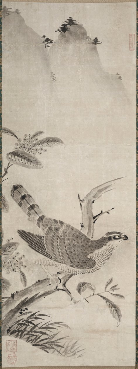 Şahin by Fujiwara Masayoshi