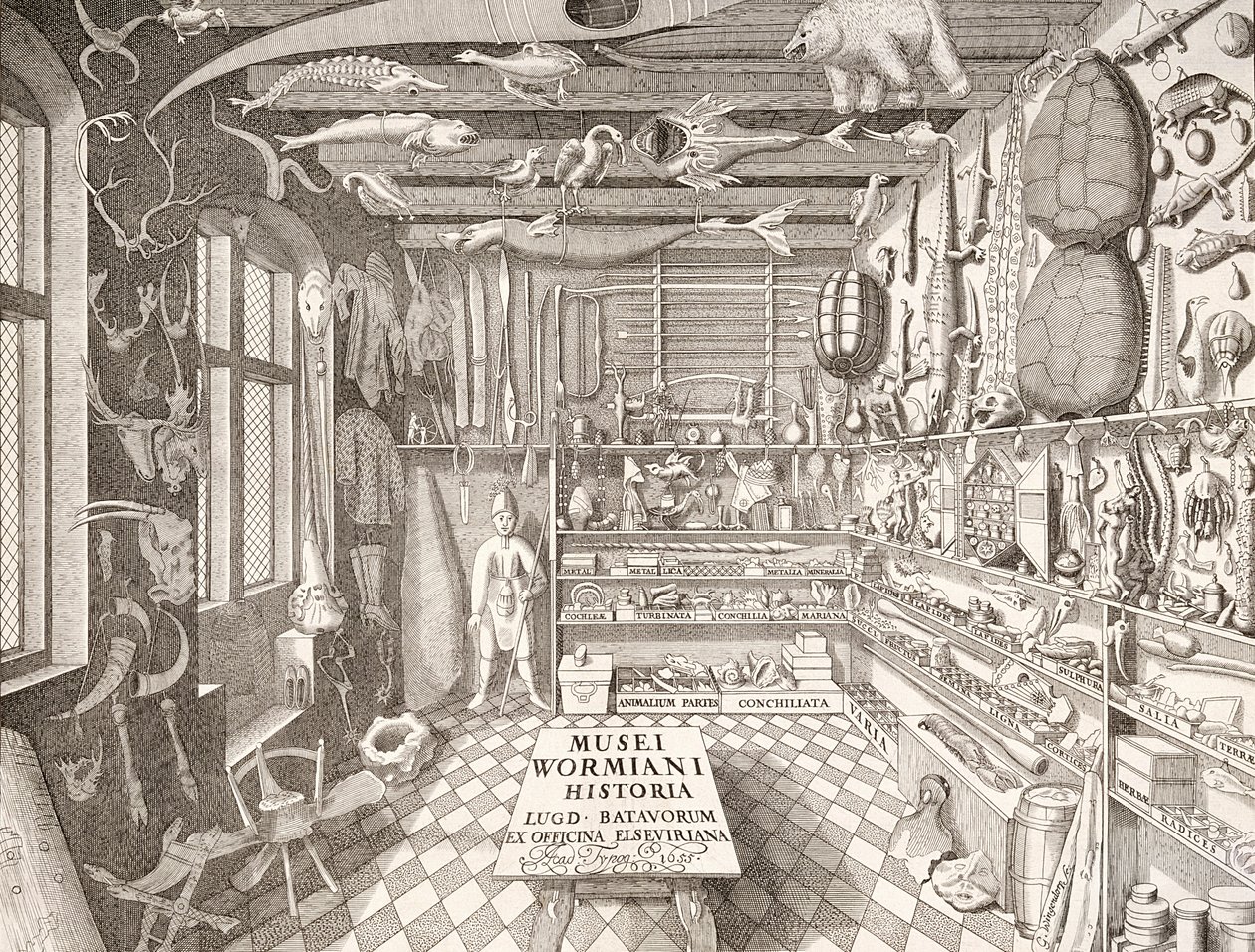 Museum of Ole Worm, Leiden, 1655  by G. Wingendorp