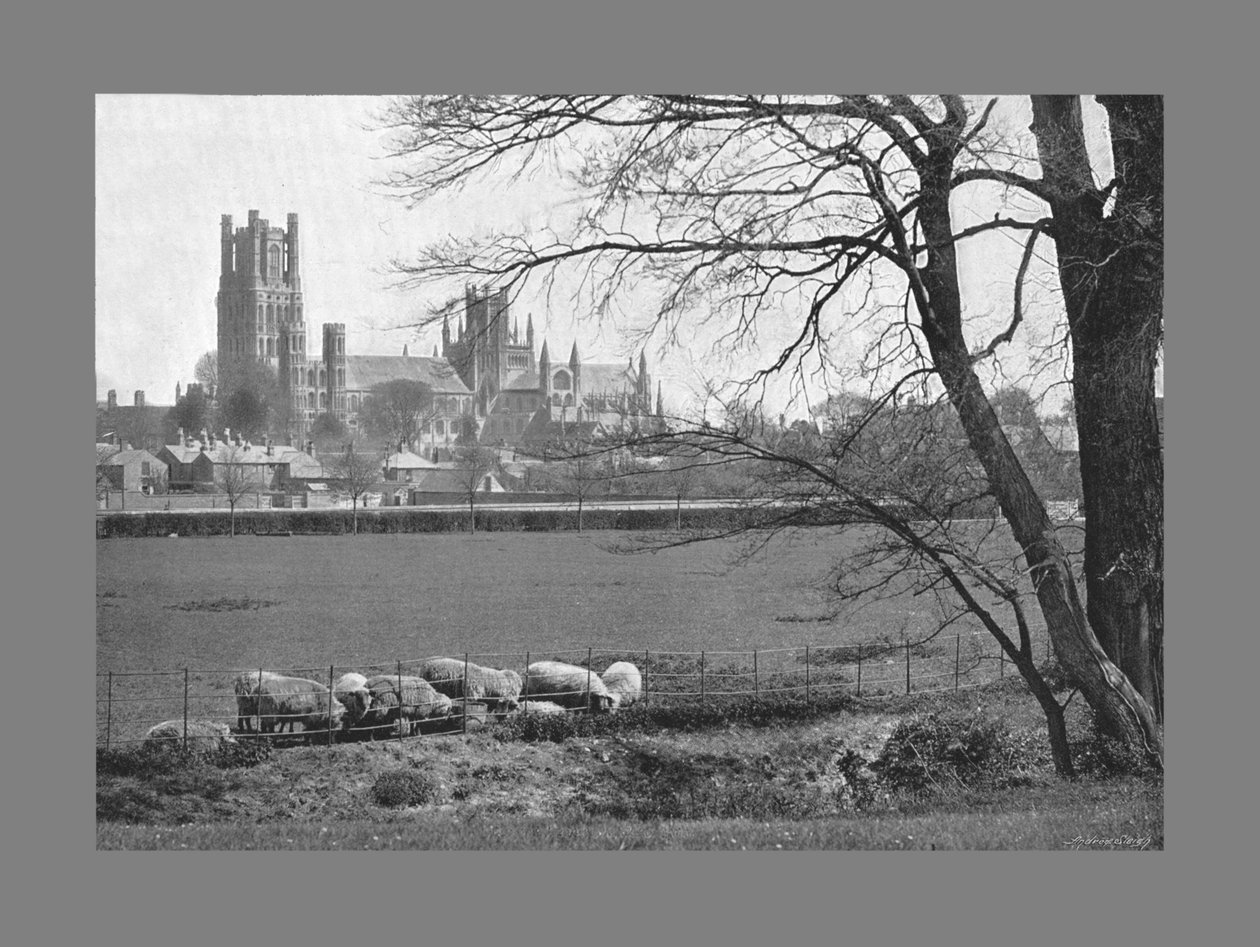 Ely Katedrali, c1900 by G. W. Wilson and Company