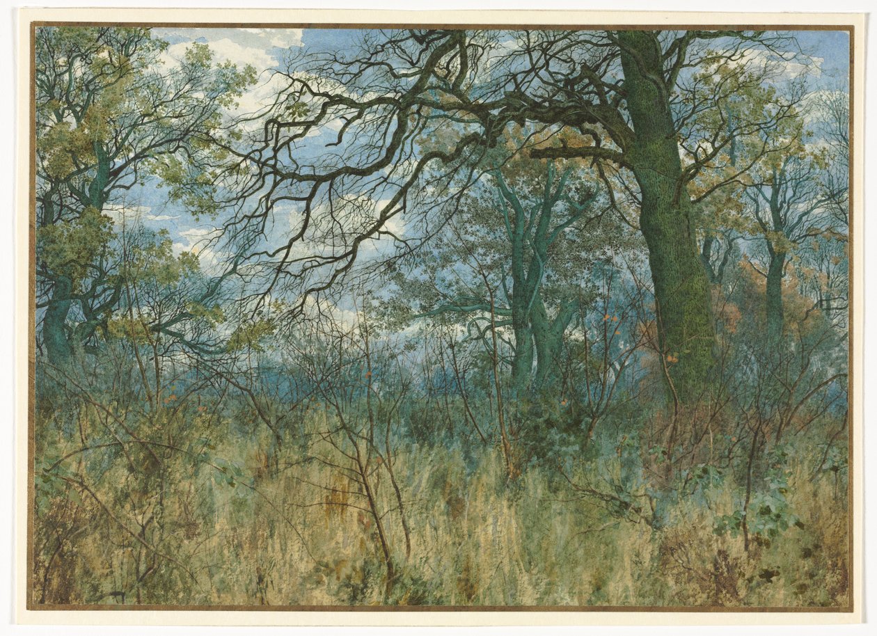 Ağaçlar ve Çalılıklar, 1885. by Garden William Fraser