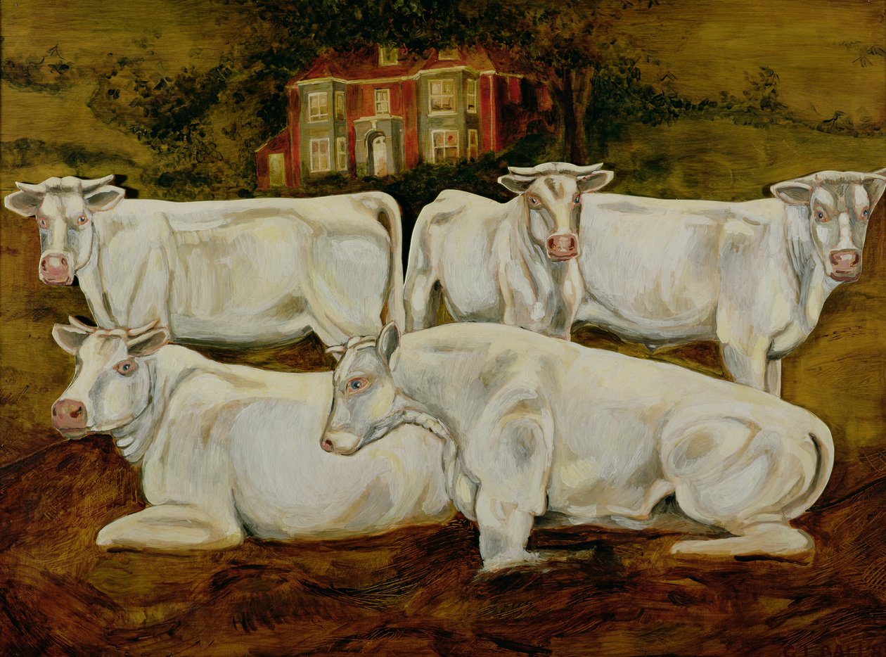 Charolais Bulls, Dippenhall, Farnham by Gareth Lloyd Ball