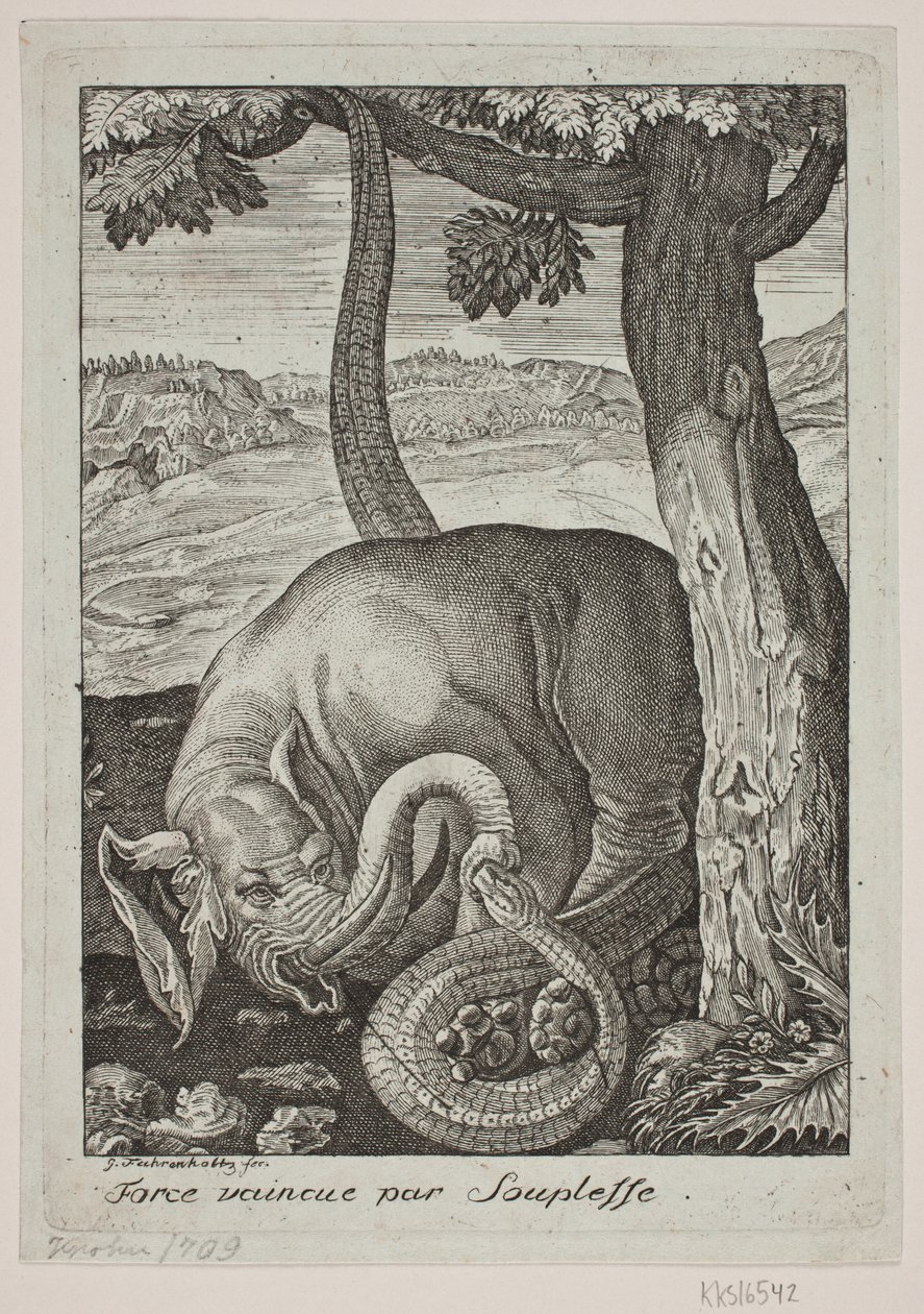 Esneklik tarafından mağlup edilen güç by Georg Fahrenholtz