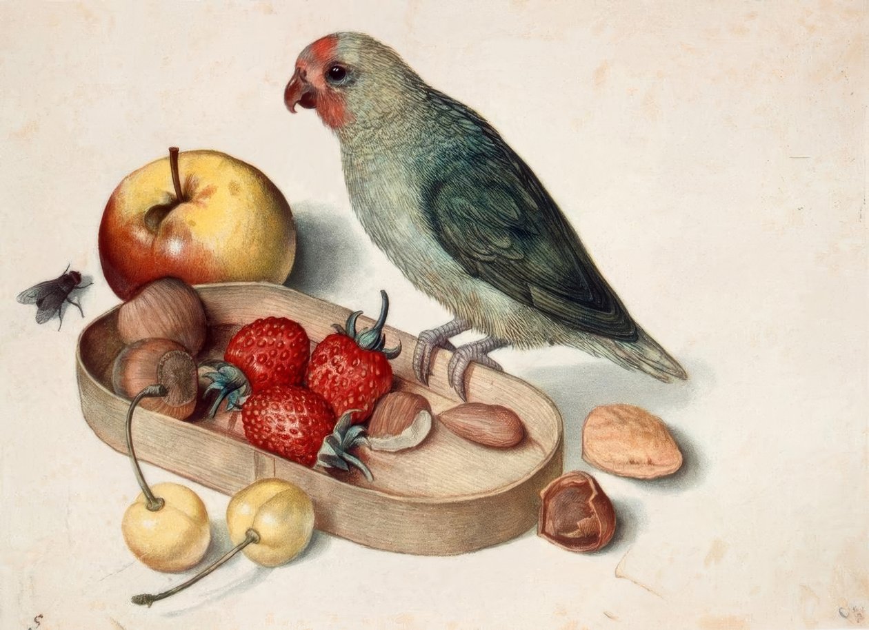 Cüce papağan ile natürmort by Georg Flegel
