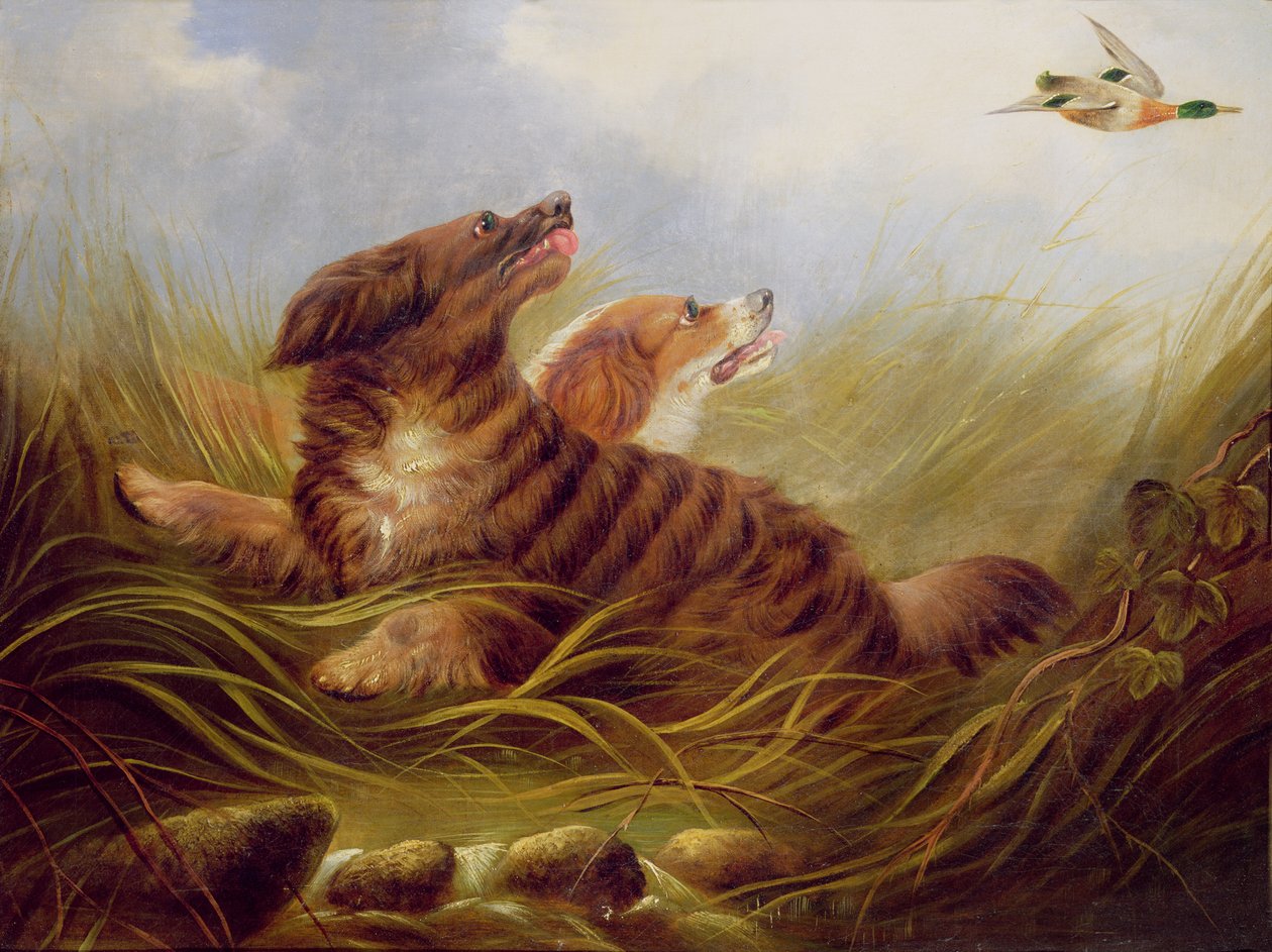 dövülen İspanyollar by George Armfield