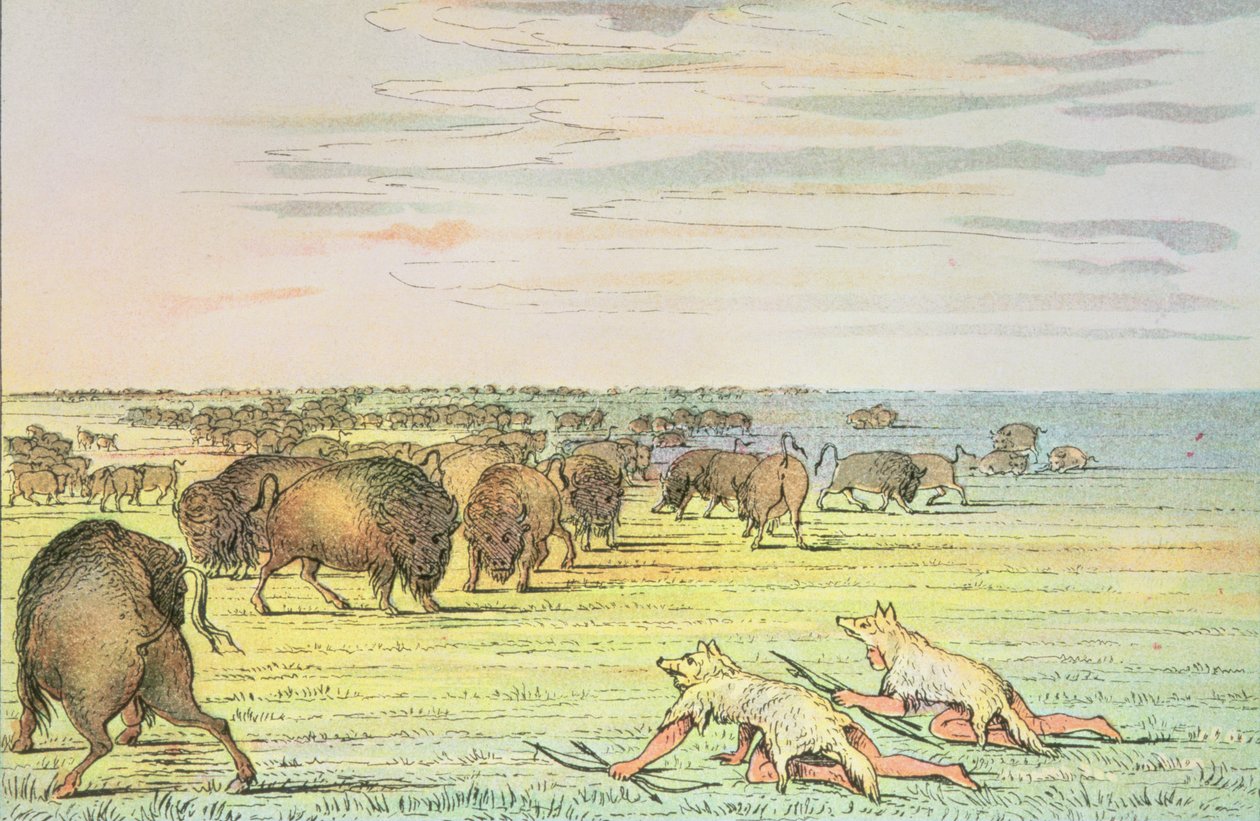 takip eden bufalo by George Catlin