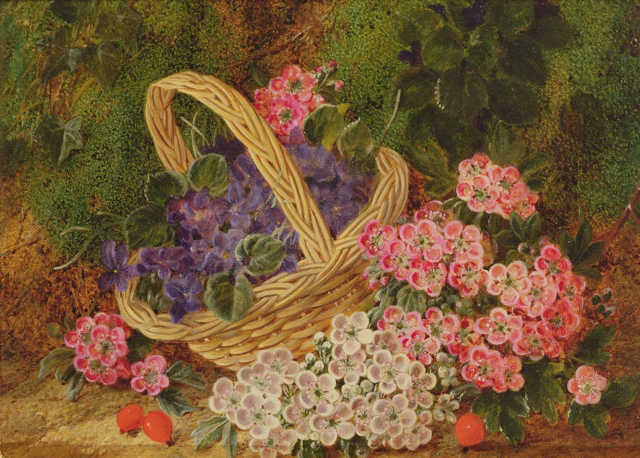 Çiçek Sepeti by George Clare