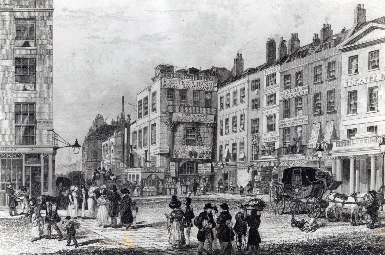 Exeter Değişimi by George Cooke