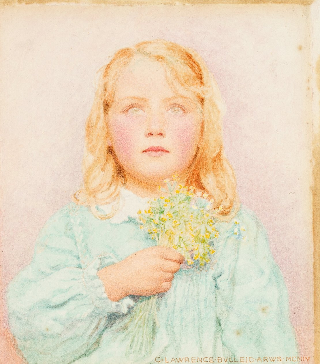 çuha çiçeği, 1904 by George Lawrence Bulleid