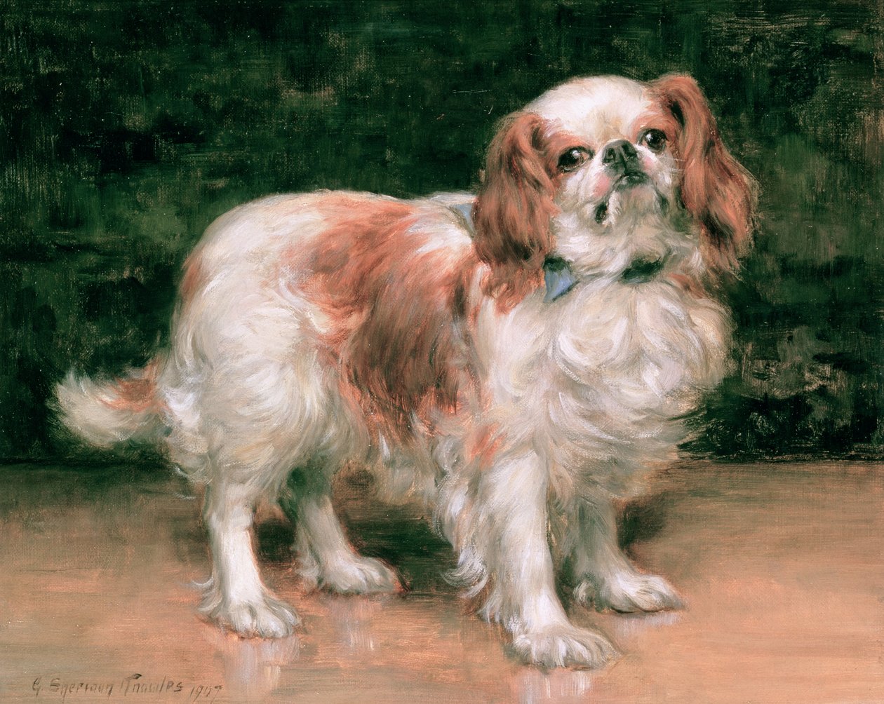 Kral Charles Spaniel, 1907 by George Sheridan Knowles