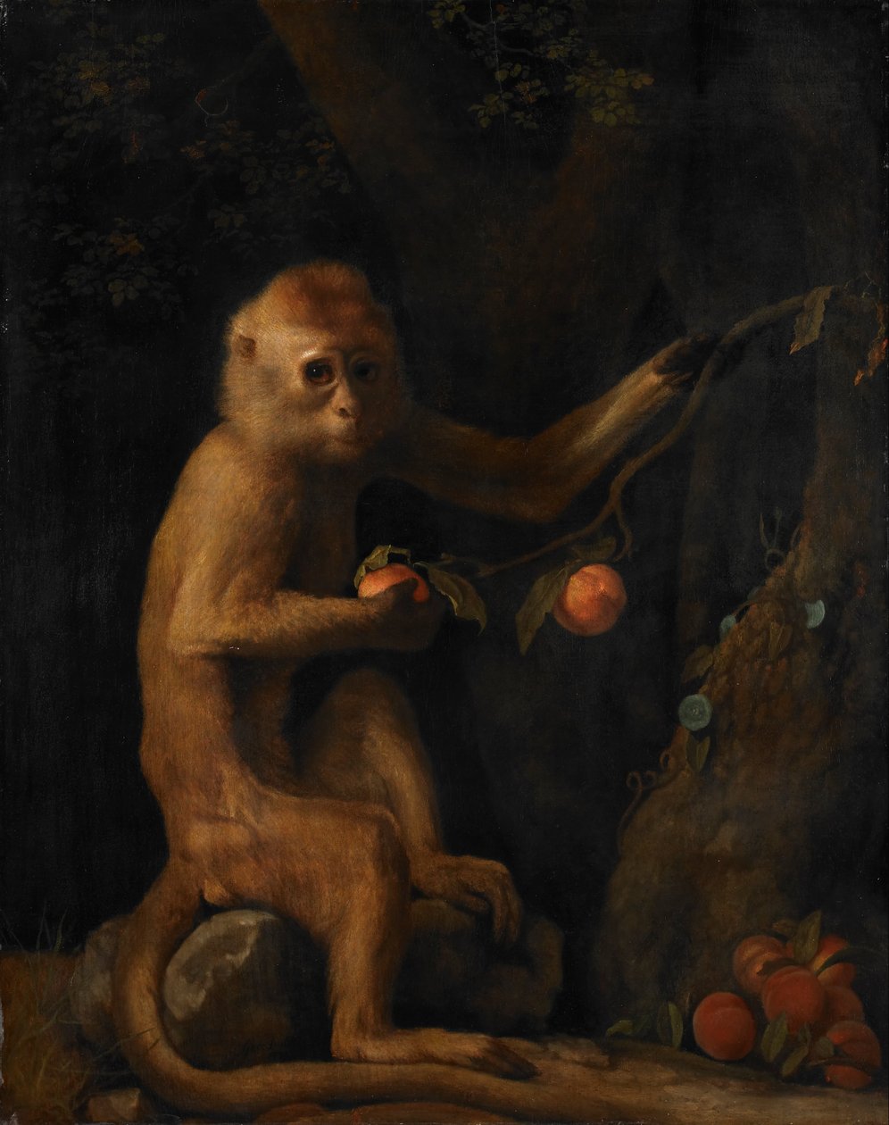 Maymun by George Stubbs