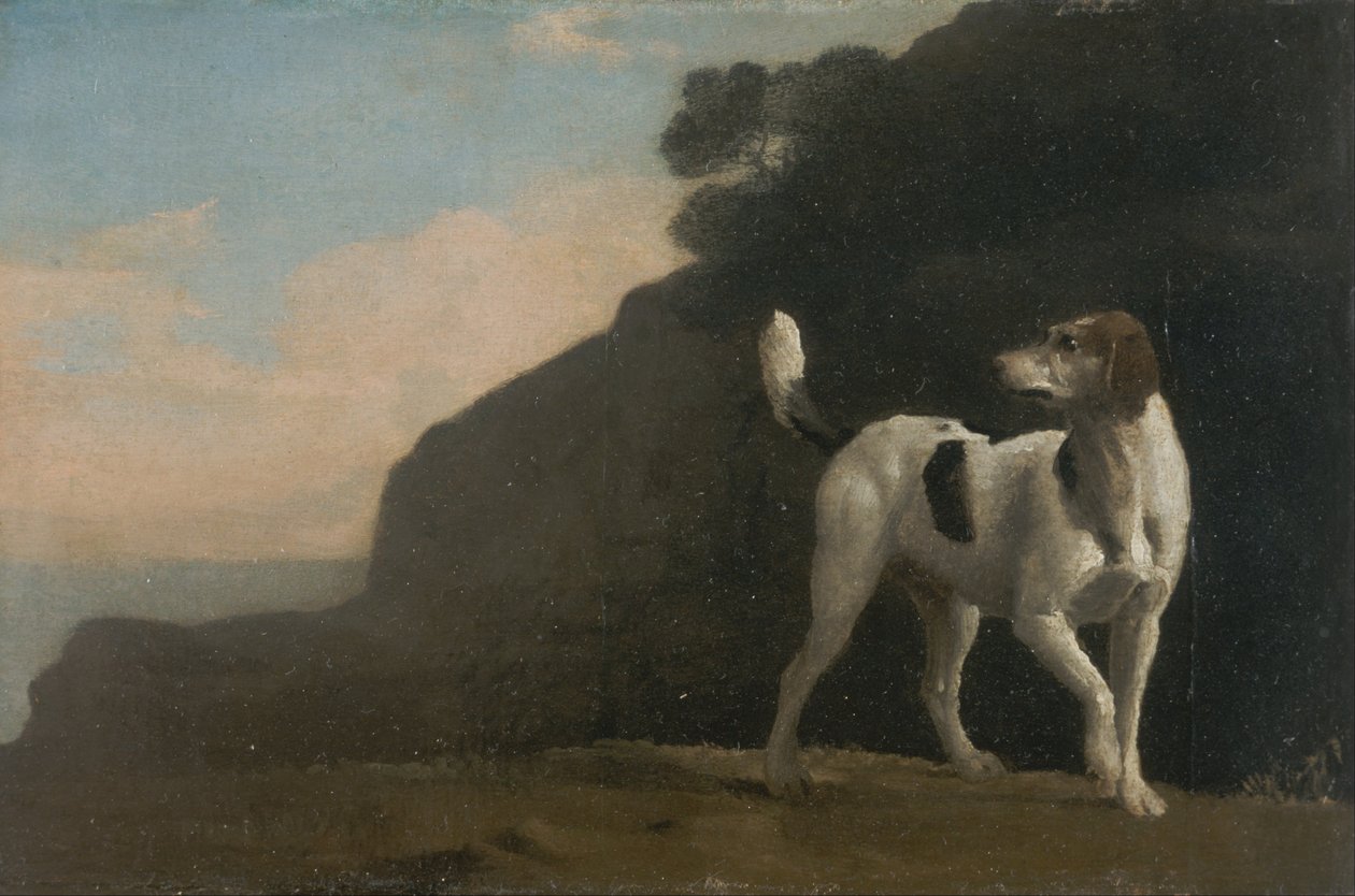 tilki köpeği by George Stubbs
