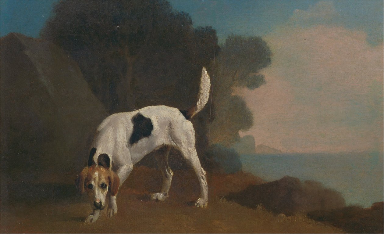 tilki köpeği by George Stubbs