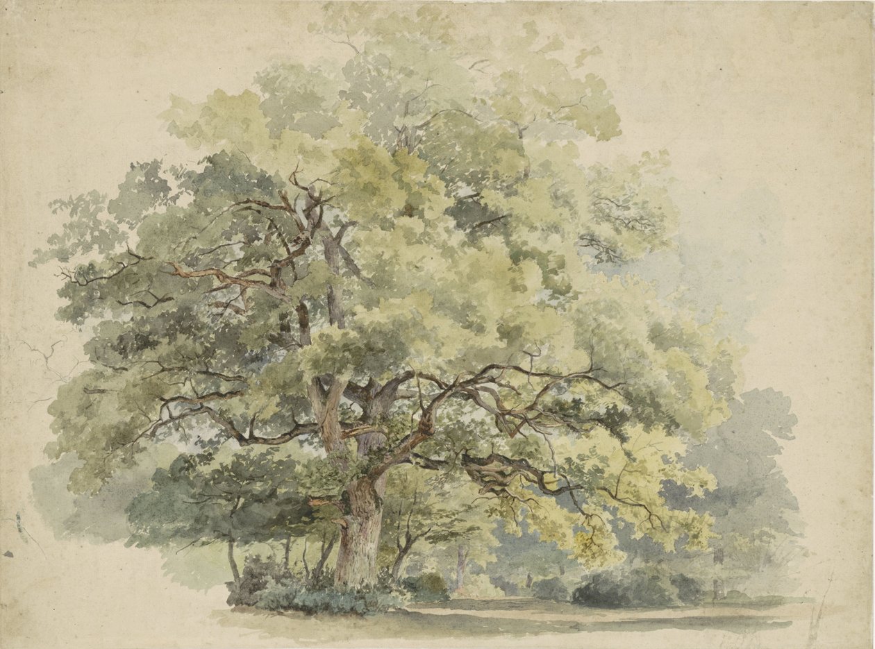 Ağaç çalışması by George Andries Roth