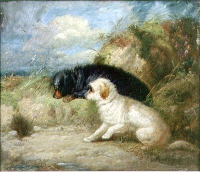 Tavşan Deliği tarafından Teriyer by George Armfield