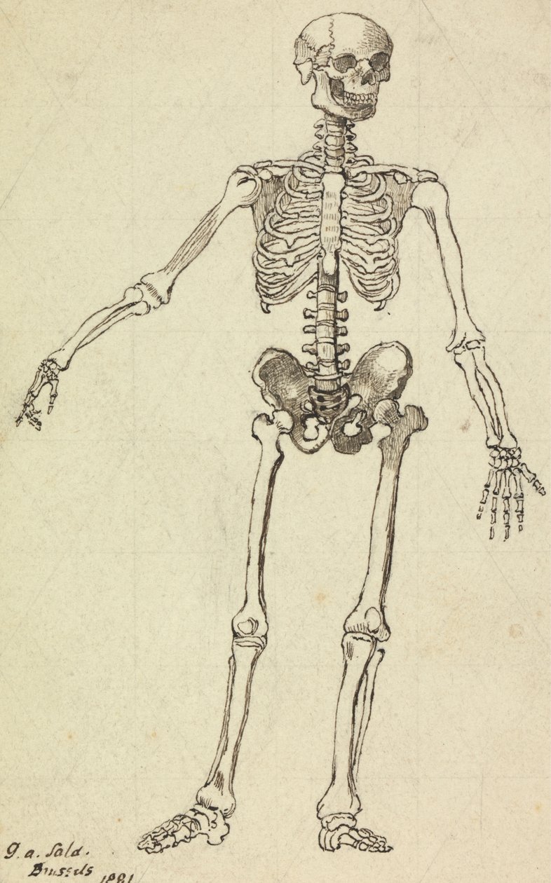 İskelet Çizimi by George Augustus Sala
