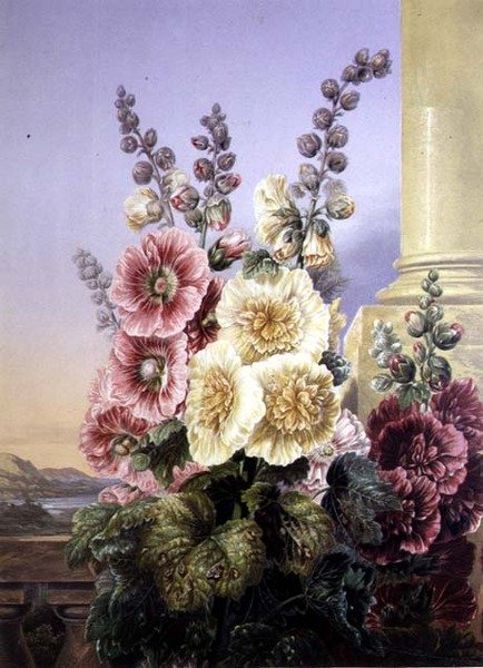 Gülhatmi (renkli taş) by George Baxter