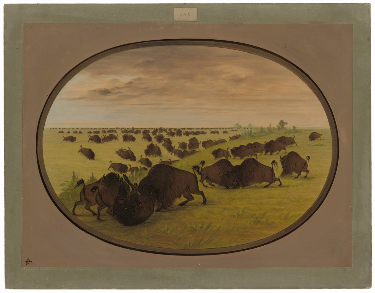 boğa güreşi by George Catlin
