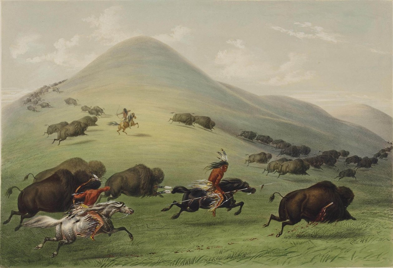 Bufalo Avı by George Catlin