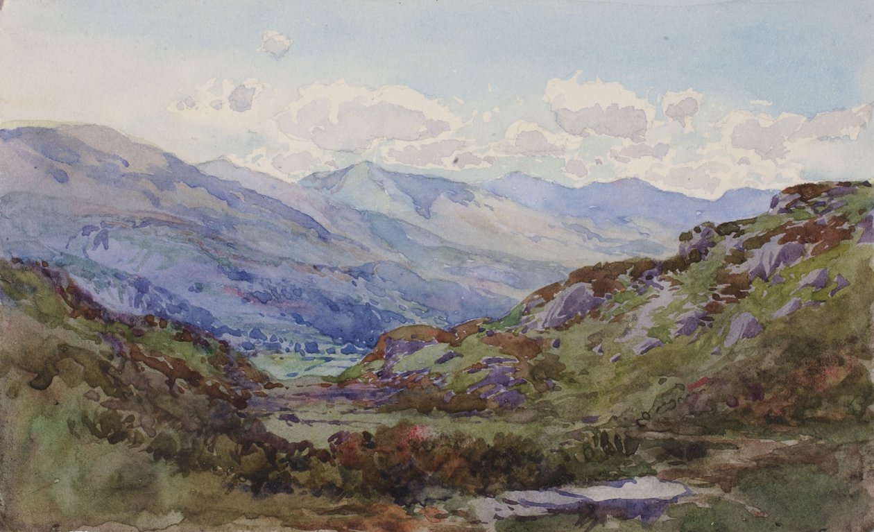 Yukarıdan Pont-y-Pant, 1899. by George Elbert Burr