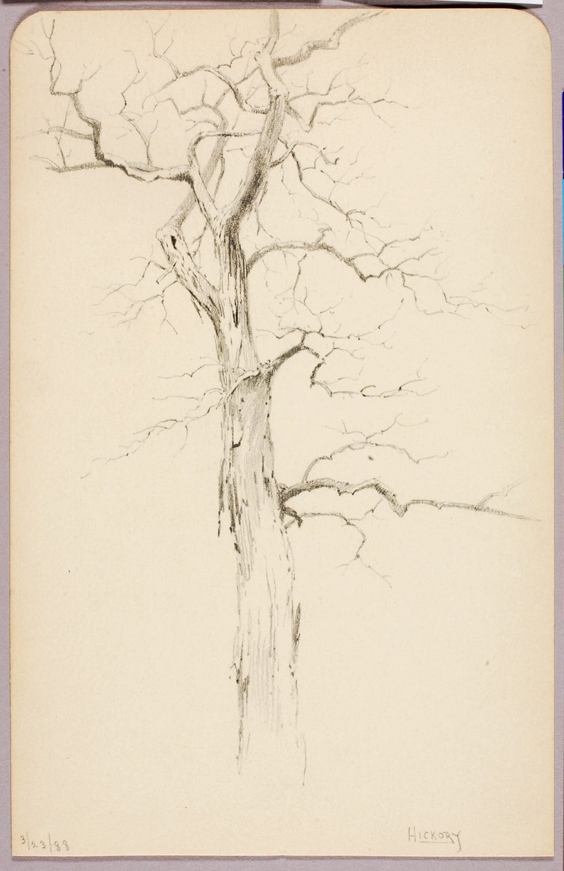 by George Elbert Burr