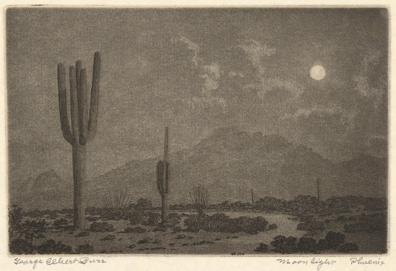 Mehtap-Phoenix by George Elbert Burr
