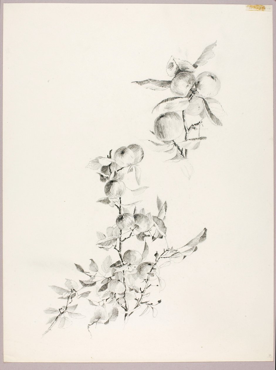  by George Elbert Burr