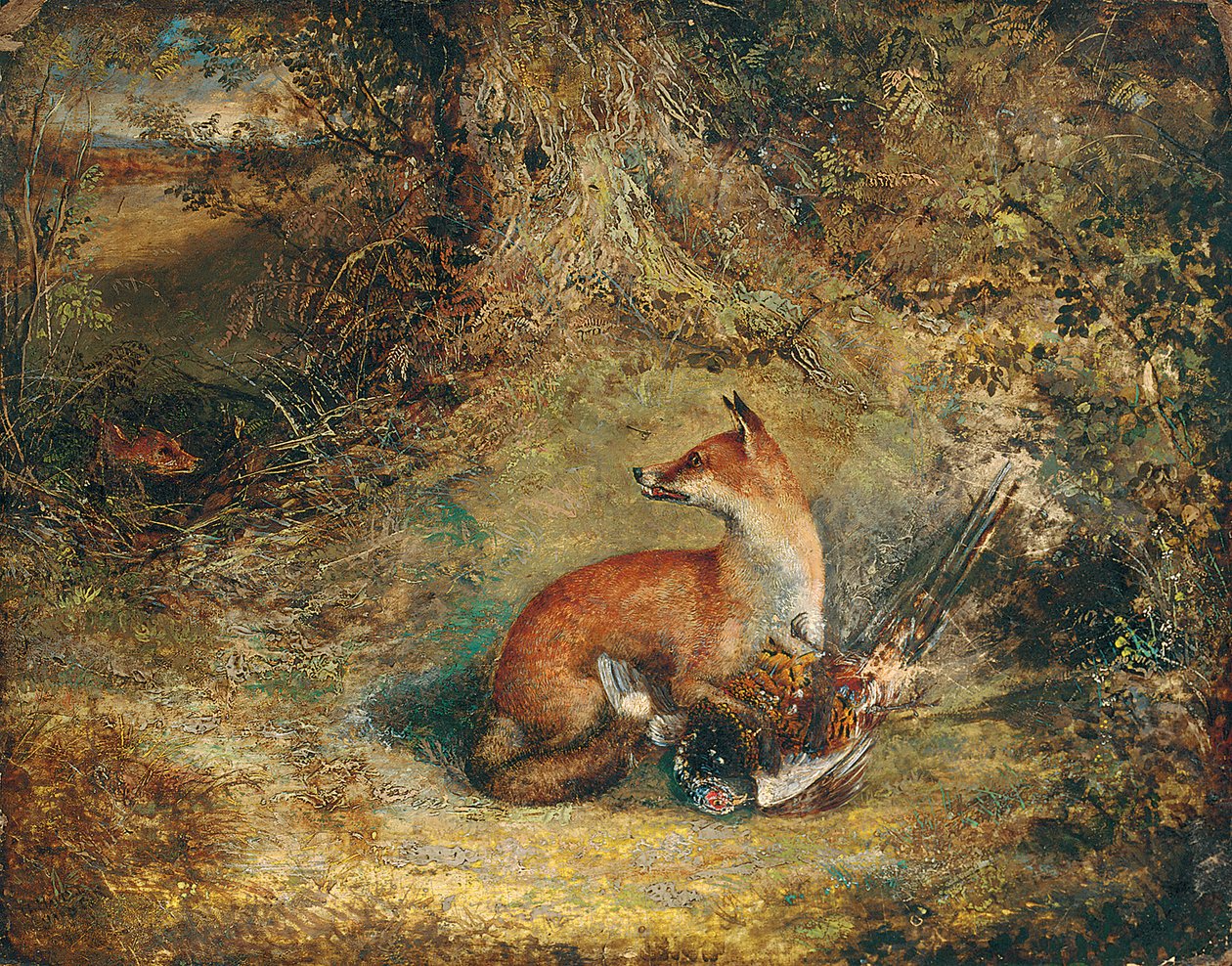 Bir sülün ile bir tilki by George Havell