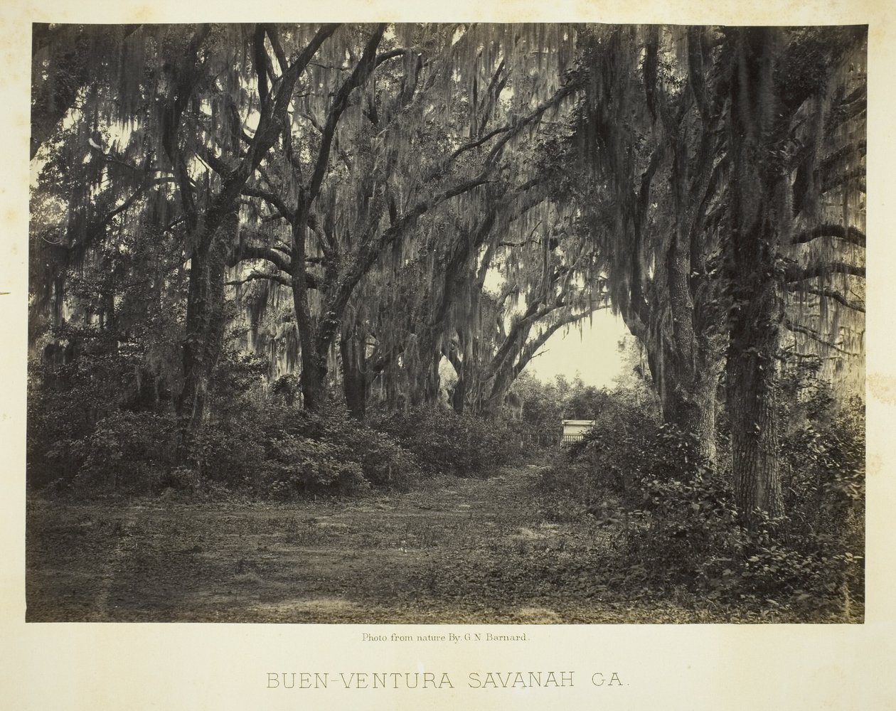  by George N. Barnard