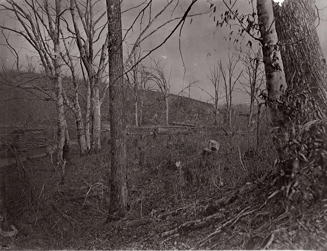 Boğa Koşusu, Virginia, 1861-62. by George N. Barnard