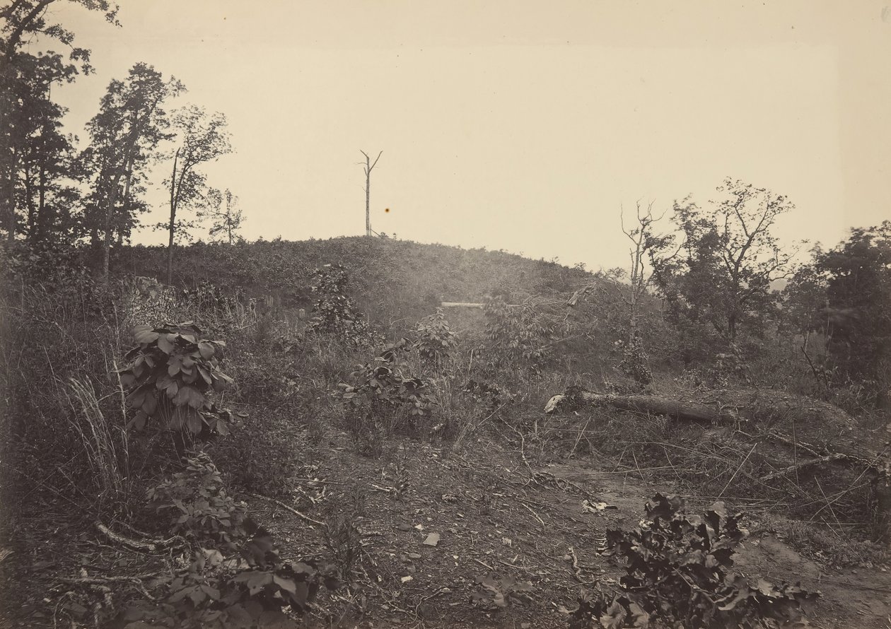 Çam Dağı, 1860