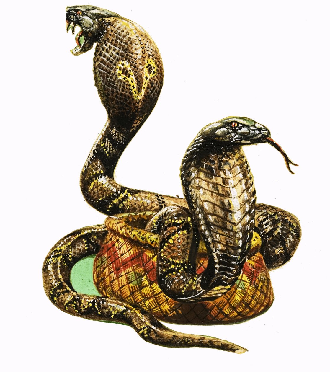  by George R. Radcliffe