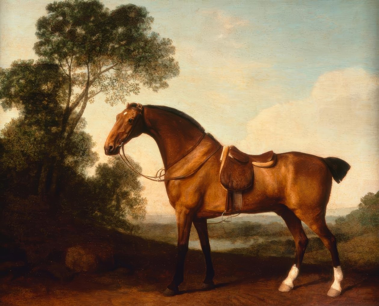 G. Stubbs, Eyerli Bir Körfez Avcısı by George Stubbs